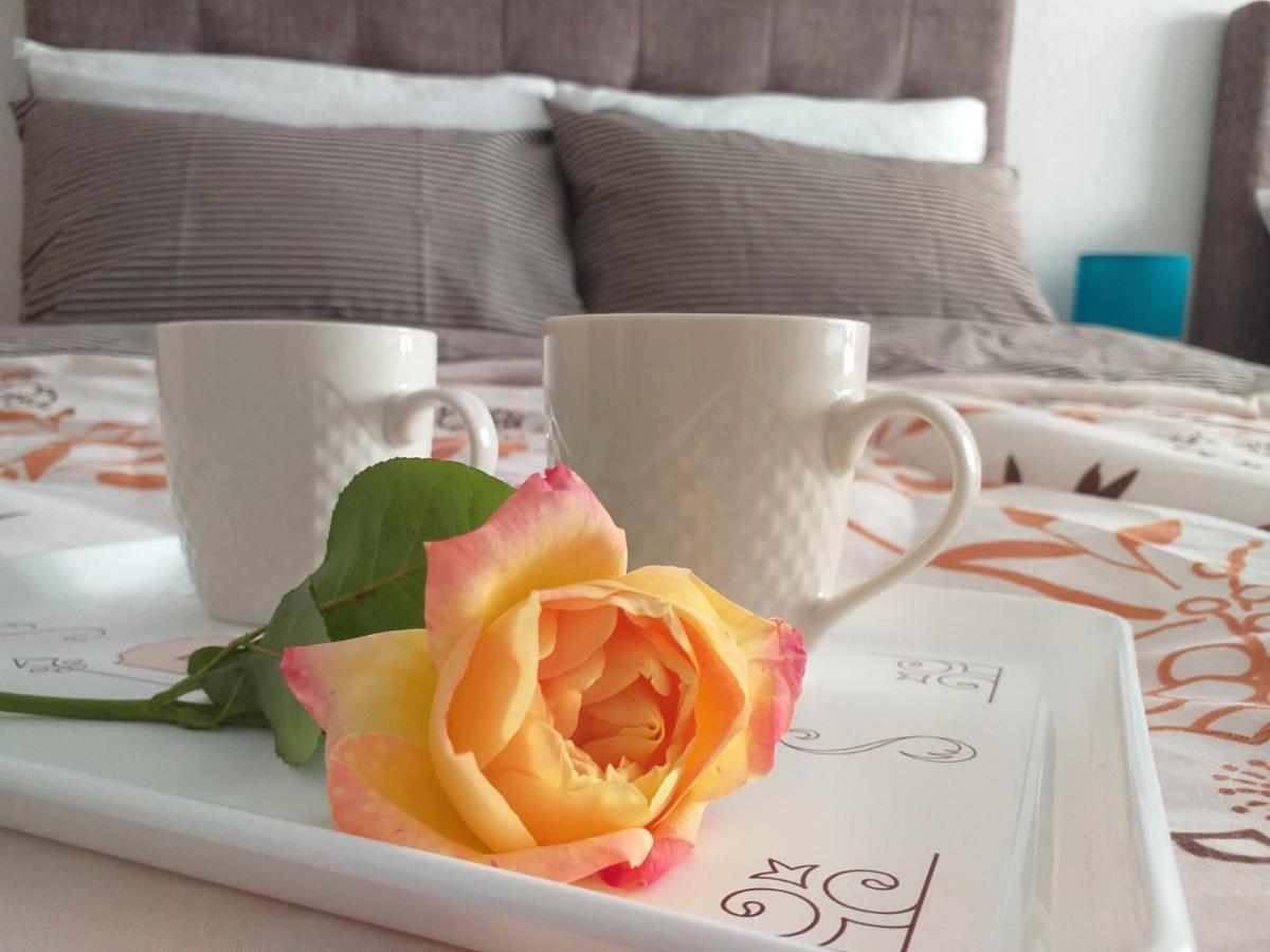 Apartments Karic Aerodrom Tuzla Dubrave Gornje 외부 사진